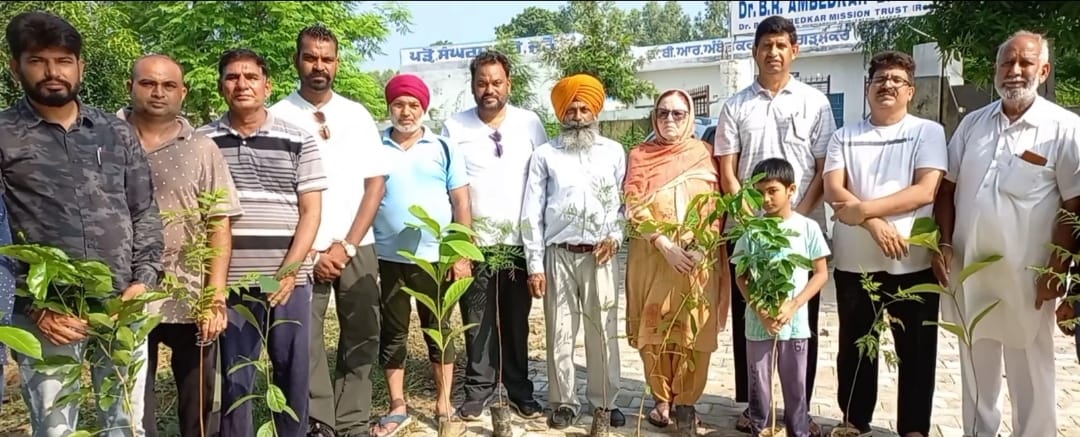 Dr. Bhim Rao Ambedkar Bhavan planted different types of saplings at Shahpur